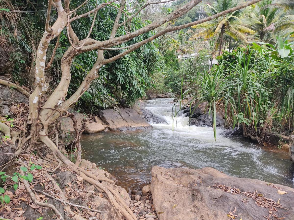 Riverbench Homestay Munnar, Anaviratty Eksteriør billede