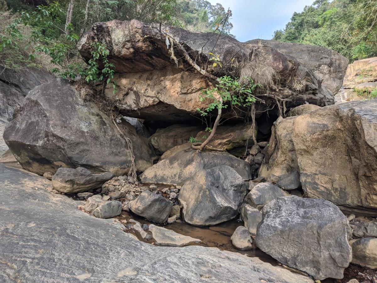 Riverbench Homestay Munnar, Anaviratty Eksteriør billede