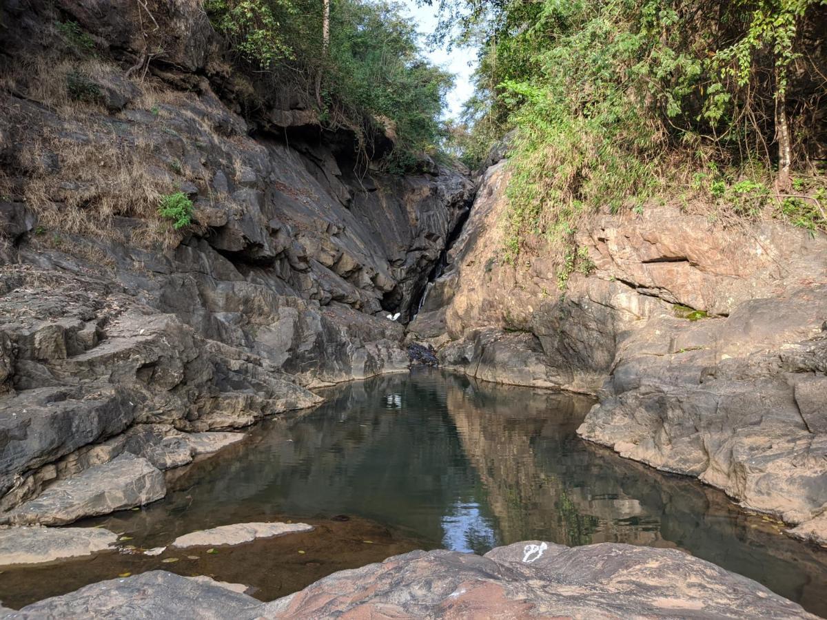 Riverbench Homestay Munnar, Anaviratty Eksteriør billede
