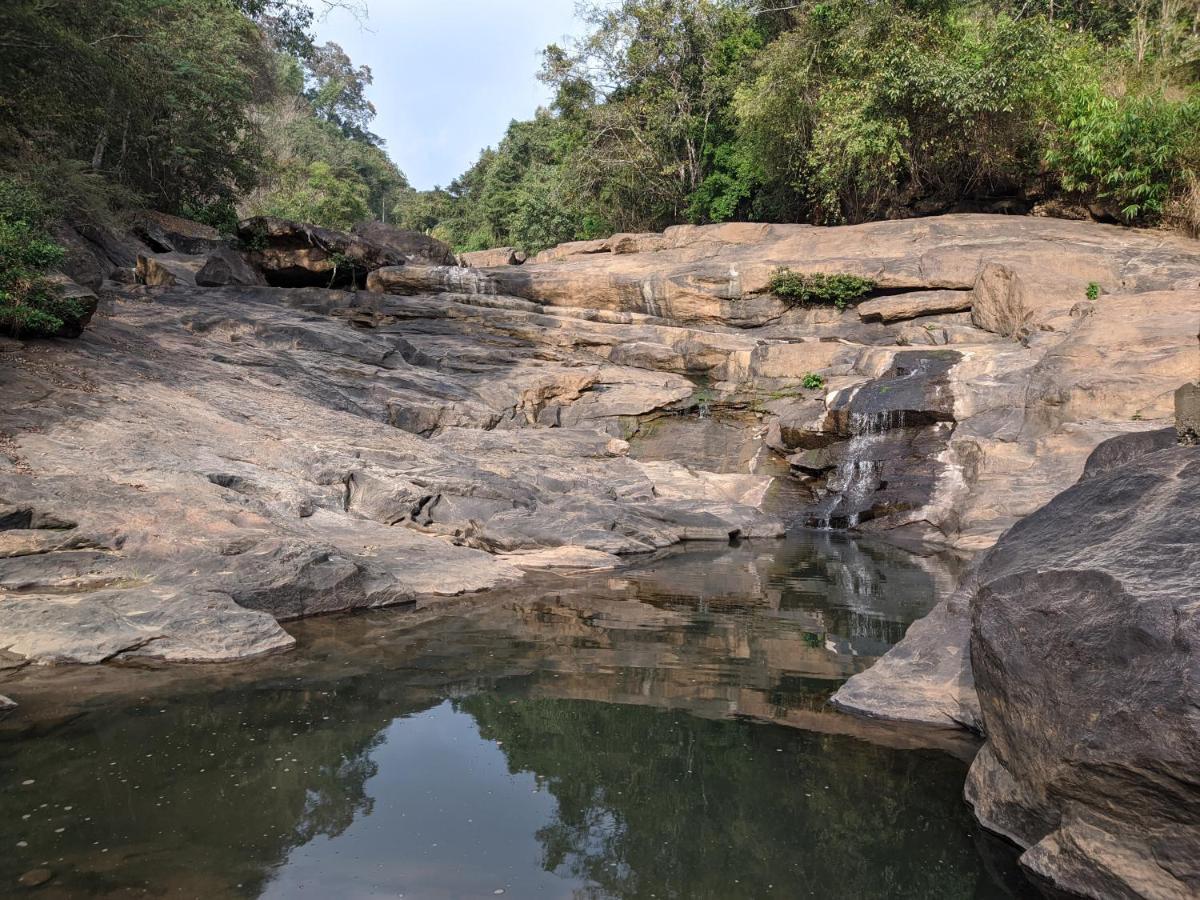 Riverbench Homestay Munnar, Anaviratty Eksteriør billede