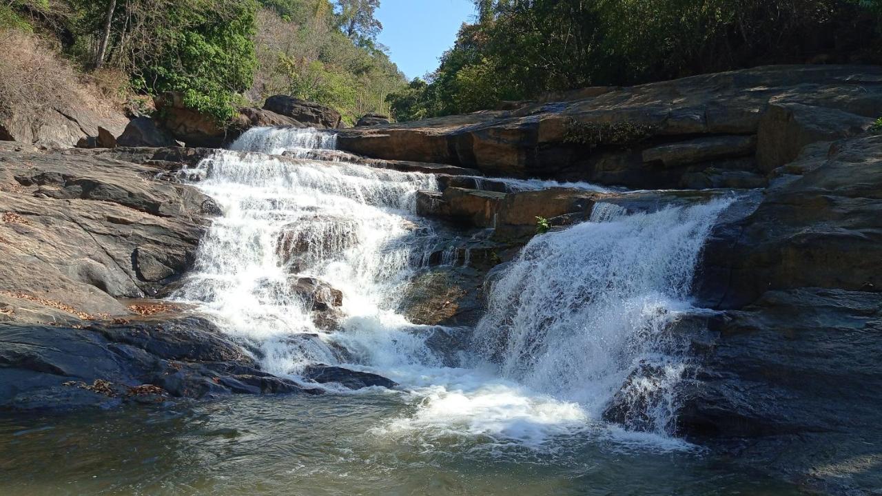 Riverbench Homestay Munnar, Anaviratty Eksteriør billede