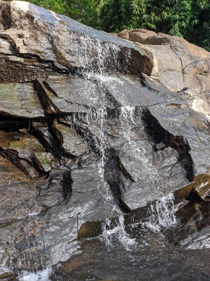 Riverbench Homestay Munnar, Anaviratty Eksteriør billede