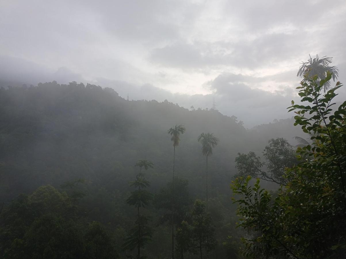 Riverbench Homestay Munnar, Anaviratty Eksteriør billede