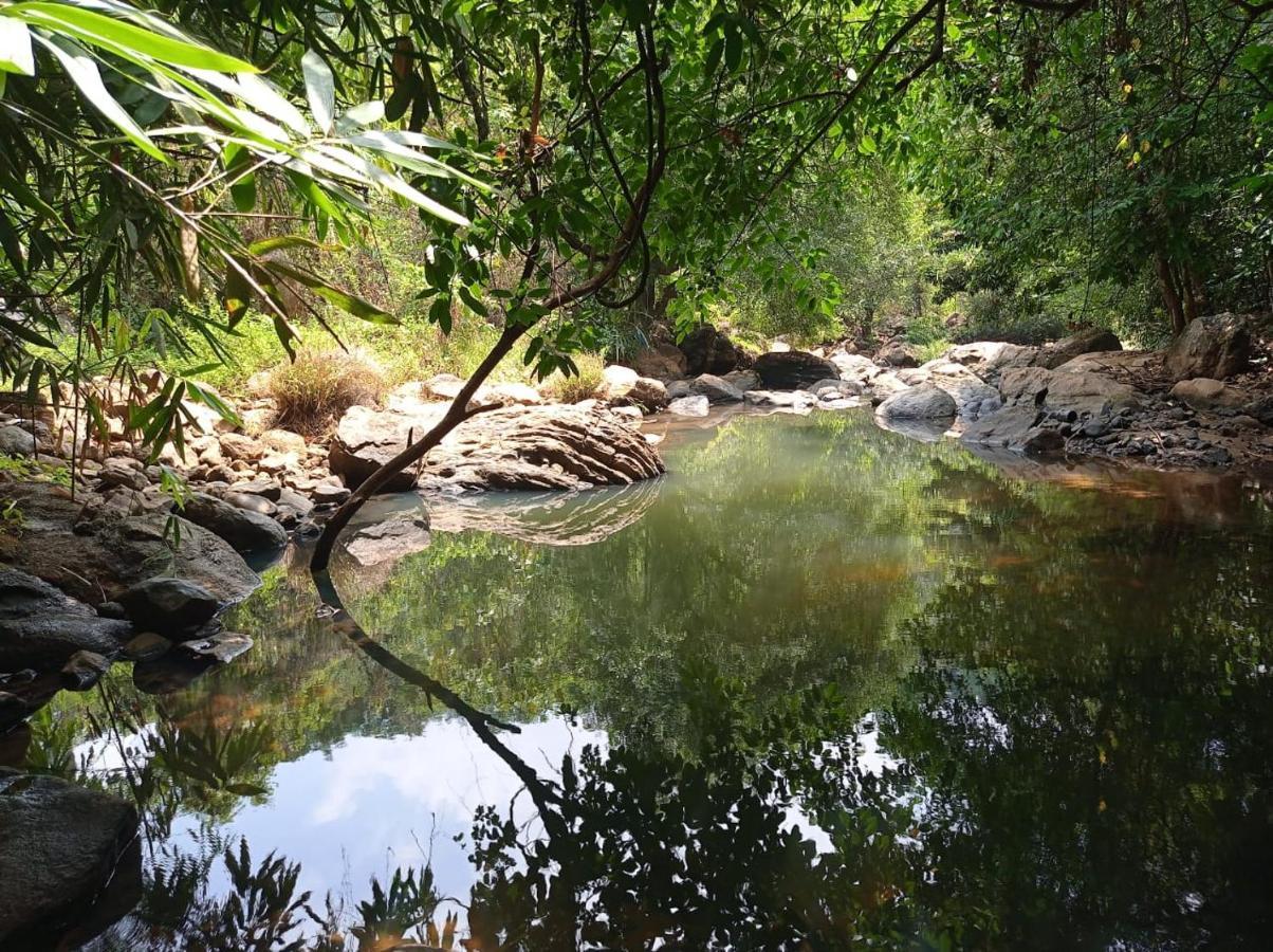 Riverbench Homestay Munnar, Anaviratty Eksteriør billede
