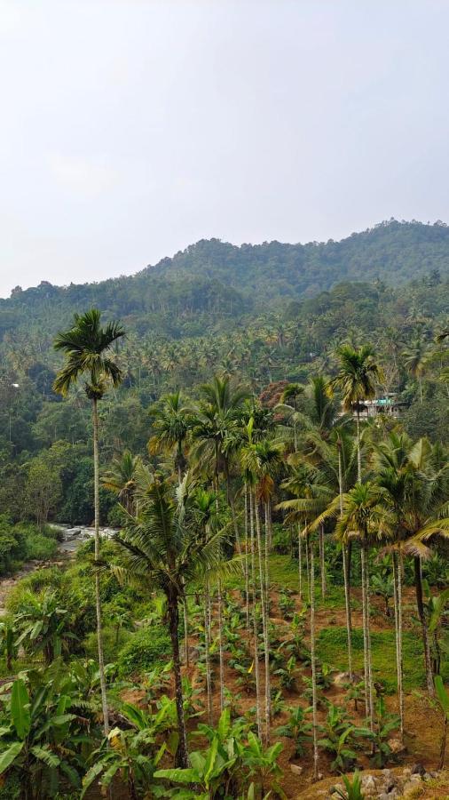 Riverbench Homestay Munnar, Anaviratty Eksteriør billede