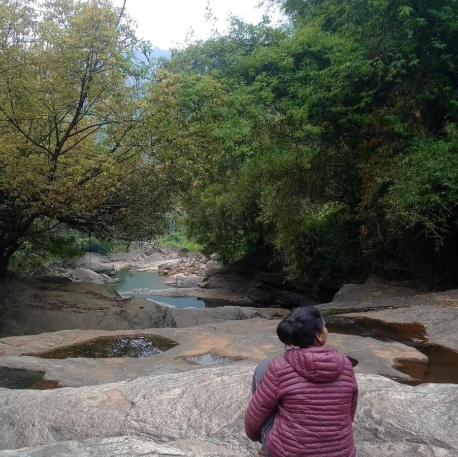 Riverbench Homestay Munnar, Anaviratty Eksteriør billede