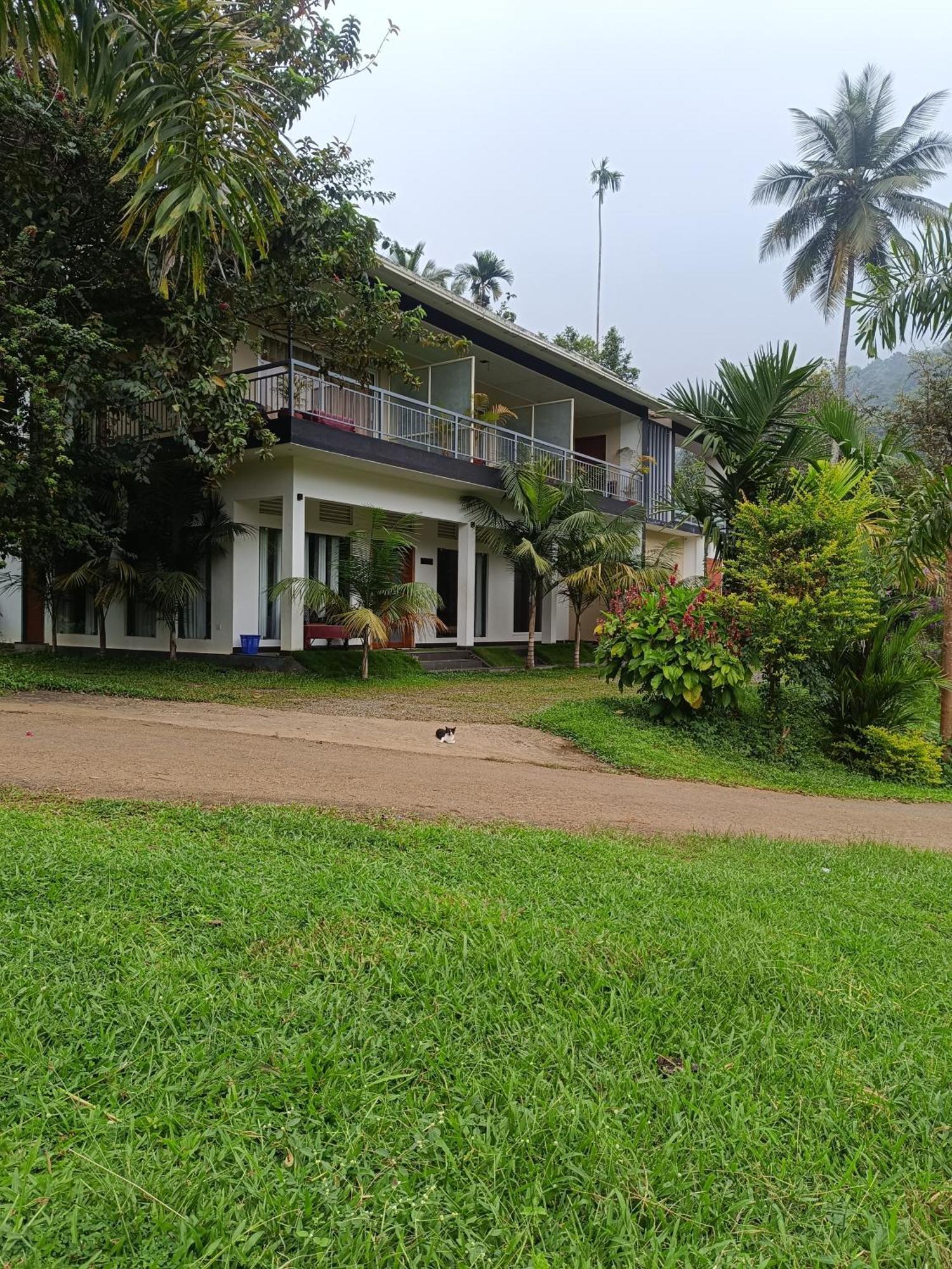 Riverbench Homestay Munnar, Anaviratty Eksteriør billede